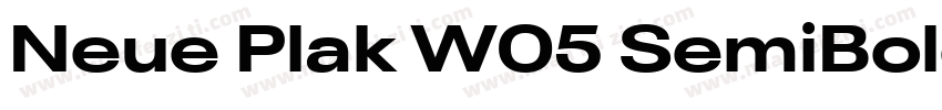 Neue Plak W05 SemiBold字体转换